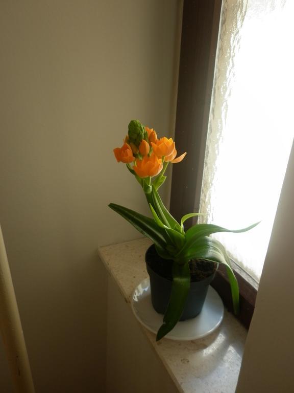 Apartments Calendula Rubic Split Exterior foto